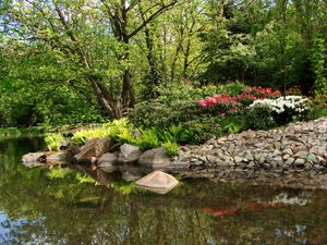 Preview wallpaper park, pond, trees, rocks, landscape