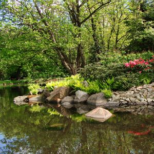 Preview wallpaper park, pond, trees, rocks, landscape