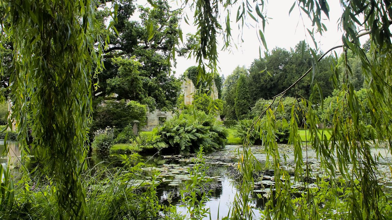 Wallpaper park, pond, trees, branches, landscape