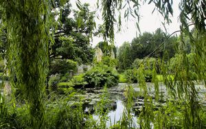 Preview wallpaper park, pond, trees, branches, landscape