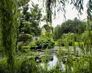 Preview wallpaper park, pond, trees, branches, landscape