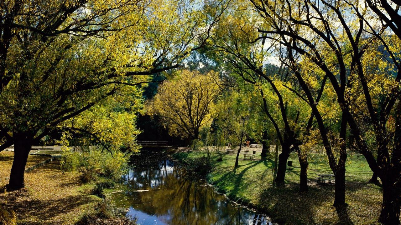 Wallpaper park, rest, river, trees, autumn, australia
