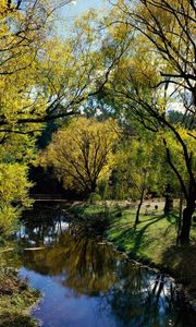 Preview wallpaper park, rest, river, trees, autumn, australia