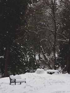Preview wallpaper park, snow, winter, trees, bench
