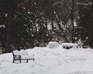 Preview wallpaper park, snow, winter, trees, bench