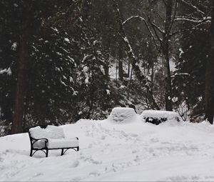 Preview wallpaper park, snow, winter, trees, bench