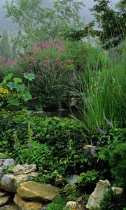 Preview wallpaper park, stones, water, vegetation, greens, flowers