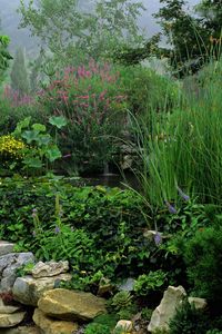 Preview wallpaper park, stones, water, vegetation, greens, flowers