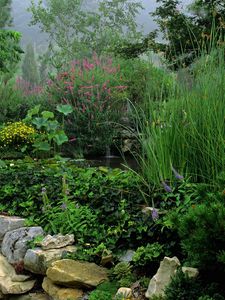 Preview wallpaper park, stones, water, vegetation, greens, flowers