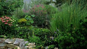 Preview wallpaper park, stones, water, vegetation, greens, flowers