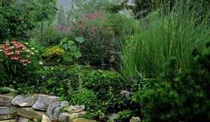 Preview wallpaper park, stones, water, vegetation, greens, flowers