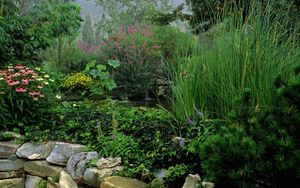 Preview wallpaper park, stones, water, vegetation, greens, flowers