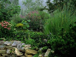 Preview wallpaper park, stones, water, vegetation, greens, flowers