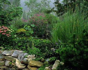 Preview wallpaper park, stones, water, vegetation, greens, flowers