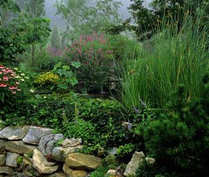 Preview wallpaper park, stones, water, vegetation, greens, flowers