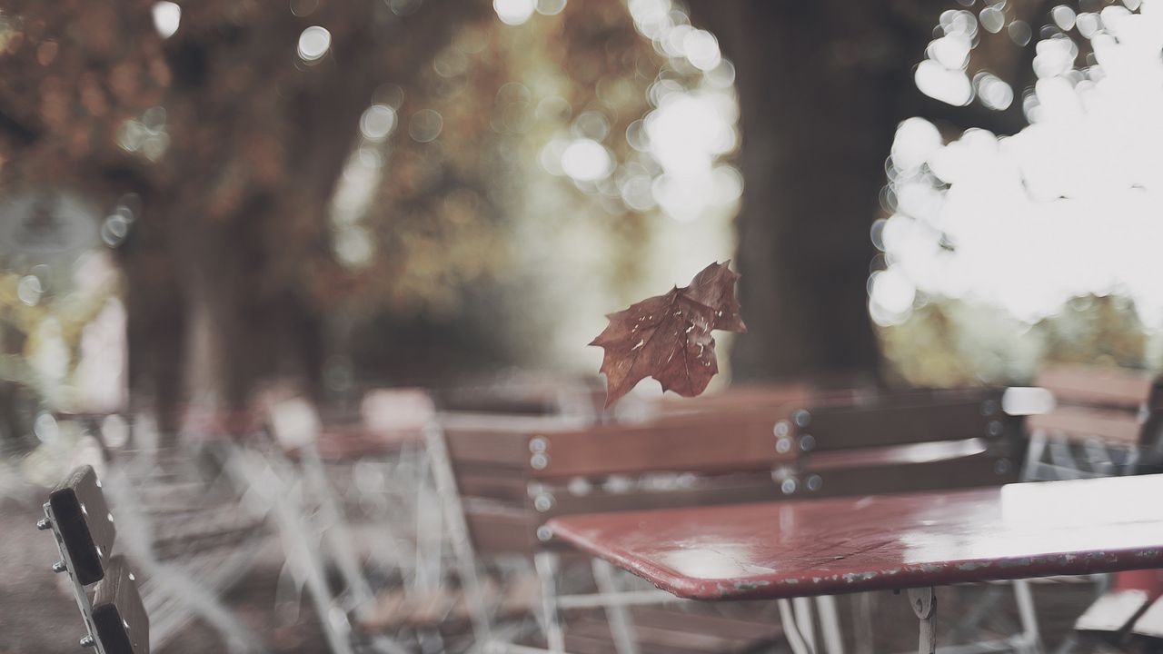 Wallpaper park, table, leaf, autumn