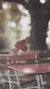 Preview wallpaper park, table, leaf, autumn