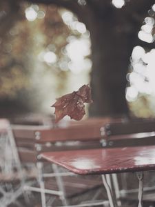 Preview wallpaper park, table, leaf, autumn