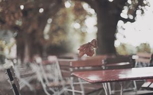 Preview wallpaper park, table, leaf, autumn