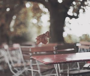 Preview wallpaper park, table, leaf, autumn