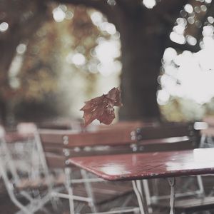 Preview wallpaper park, table, leaf, autumn