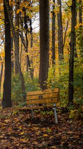 Preview wallpaper park, trees, bench, autumn, nature