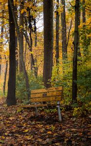 Preview wallpaper park, trees, bench, autumn, nature