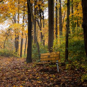 Preview wallpaper park, trees, bench, autumn, nature