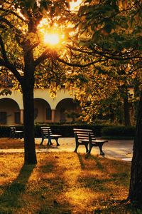 Preview wallpaper park, trees, benches, sunlight, building
