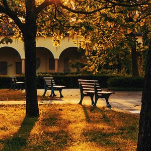 Preview wallpaper park, trees, benches, sunlight, building