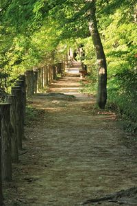 Preview wallpaper park, trees, fence