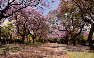 Preview wallpaper park, trees, flowers, nature, spring, beautiful