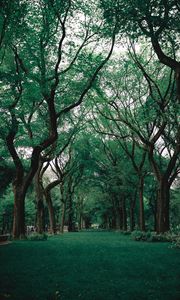 Preview wallpaper park, trees, grass, green, nature