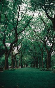 Preview wallpaper park, trees, grass, green, nature