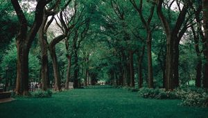 Preview wallpaper park, trees, grass, green, nature