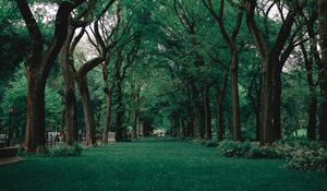 Preview wallpaper park, trees, grass, green, nature