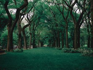 Preview wallpaper park, trees, grass, green, nature