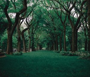 Preview wallpaper park, trees, grass, green, nature