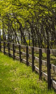 Preview wallpaper park, trees, grass, fence, nature