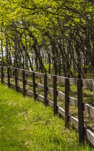 Preview wallpaper park, trees, grass, fence, nature