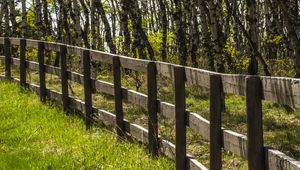 Preview wallpaper park, trees, grass, fence, nature
