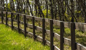 Preview wallpaper park, trees, grass, fence, nature