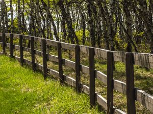 Preview wallpaper park, trees, grass, fence, nature