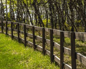 Preview wallpaper park, trees, grass, fence, nature