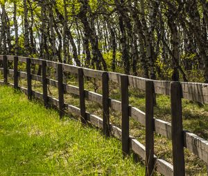 Preview wallpaper park, trees, grass, fence, nature