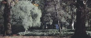 Preview wallpaper park, trees, grass, autumn