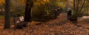 Preview wallpaper park, trees, leaves, autumn, landscape