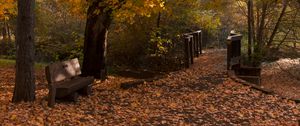 Preview wallpaper park, trees, leaves, autumn, landscape