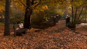 Preview wallpaper park, trees, leaves, autumn, landscape