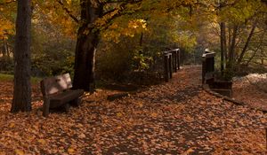 Preview wallpaper park, trees, leaves, autumn, landscape